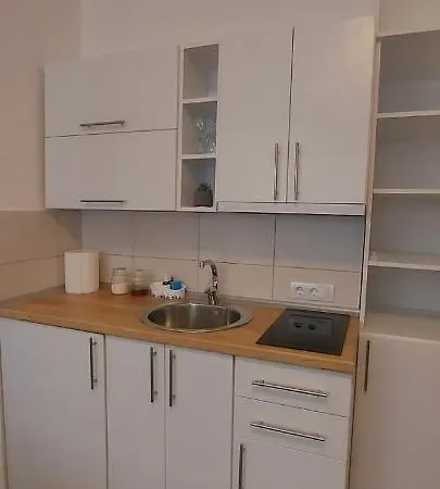 Zeleni Venac Studio & Apartment Belgrado Esterno foto